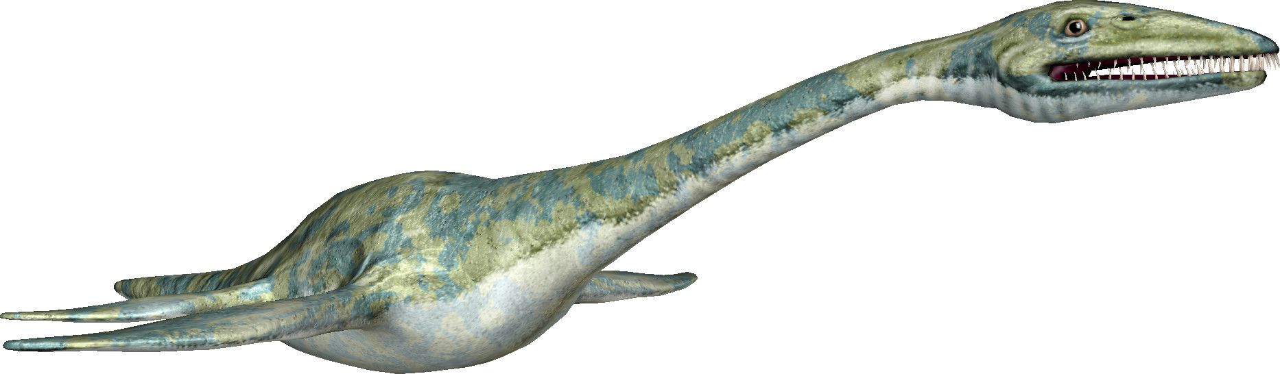 App dinosauri: plesiosauro